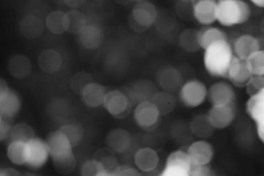 Yumuşak daireli tek renkli bokeh huzur ve gizemi çağrıştıran bir arkaplan dokusu yaratarak sanatsal yeteneklerle zarif bir görsel oluşturur.