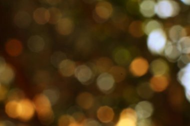 Soyut, altın sarısı, sıcak Bokeh ışıkları yavaşça bulanıklaşır. Kutlama, şenlik havası ve rüya gibi bir görüntüyü çağrıştırıyor. Çok yönlü bir arkaplan ya da tasarım örtüsü olarak kullanılabilir.