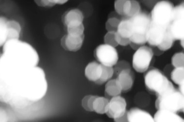 Bulanık siyah bir arkaplanda Bokeh ışıkları olan odaksız bir monokrom soyutu. Efekt rüya gibi, ışıl ışıl bir zemin oluşturur. Örtüler ve sanatsal tasarımlar için mükemmeldir..