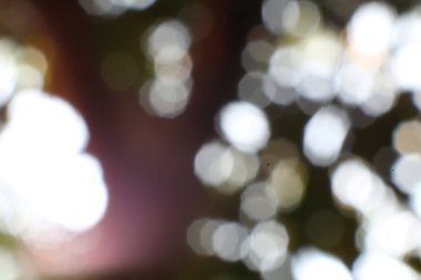 Arka plan için bulanık ışıklar, rüya gibi, ruhani ve sanatsal projeler için ideal. Yarattıklarına biraz sihir katmak için bu soyut arkaplanı kullan.