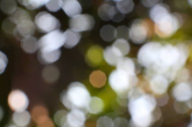 Bu resim büyüleyici soyut bir arka plan sergiliyor. Parlak ışıklarla büyüleyici bir bokeh etkisi yaratarak tasarım ve yaratıcı projeler için uygun rüya gibi ve ruhani bir ortam yaratıyor..