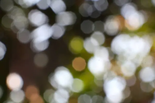 Bu resim büyüleyici soyut bir arka plan sergiliyor. Parlak ışıklarla büyüleyici bir bokeh etkisi yaratarak tasarım ve yaratıcı projeler için uygun rüya gibi ve ruhani bir ortam yaratıyor..