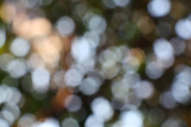 Bu resim güzel bir şekilde bulanık ve soyut bir arkaplan sunar. Yumuşak ve odak dışı ışıklarla rüya gibi, ruhani bir atmosfer yaratıyor. Projelerinize biraz sihir katmak için mükemmel.