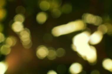 Ruhsal bir görüntü, karanlık ve sessiz bir arkaplana karşı dans ederek rüya gibi ve büyülü bir ortam oluşturan, hafifçe parlayan, odak dışı ışık küreleri içerir..