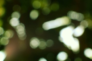 Işıldayan yeşil ve beyaz ışıkları olan rüya gibi soyut bir bokeh arka plan büyüleyici ve büyülü bir atmosfer yaratır. Her projeye derinlik katmak için mükemmeldir..