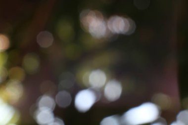 Ruhsal aydınlanmanın sanatsal bir canlandırması ve yemyeşil renkler üzerine yumuşak bir bokeh rahatlatıcı bir soyut arkaplan yaratır. Görsel ilgi için yumuşak dokular ve parlak renklerin bir karışımı.