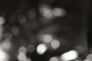 Bulanık, rüya gibi bir şekilde ışık ve gölgenin ruhani etkileşimini gösteren soyut bir monokrom görüntüsü, hayali ve bulanık bir arkaplan yaratan bir bokeh etkisi sergiliyor.