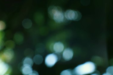 Zümrüt renklerinin ışık saçan bokeh küreleriyle etkileşime girdiği, rahatlatıcı ve rüya gibi soyut görsel bir anlatı yaratan yumuşak odaklı bir kompozisyon..