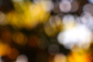 Sarı, kahverengi ve beyaz gibi sıcak sonbahar renklerinde bokeh efektleri içeren bulanık ve soyut bir arka plan. Görüntü bulanık, rüya gibi ve şenlikli bir atmosfer yaratıyor..