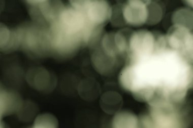 Bulanık, bulanık bir görüntü, soluk yeşil tonlarla bokeh efekti gösteriyor. Soyut şablon rüya gibi ve ruhani bir atmosfer yaratıyor. Arkaplan ya da sanatsal örtüşmeler için ideal..