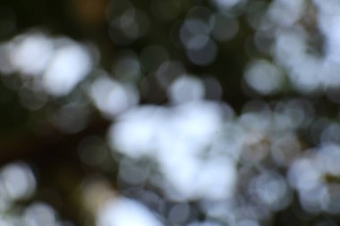 Bulanık ışıklar ve gölgelerle bokeh efekti içeren soyut bir görüntü. Yumuşak, odak dışı çevreler rüya gibi, ruhani bir atmosfer yaratıyor. Çeşitli tasarım projelerinde arka plan ya da doku olarak kullanılmak için mükemmel..