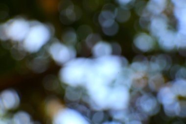 Bulanık soyut arkaplan. Yumuşak bokeh ışıkları olan bir resim, bir tasarım projesinde arkaplan, kaplama ya da öge olarak idealdir.