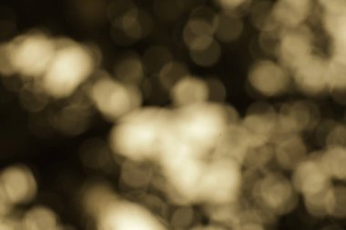 Yumuşak ve rüya gibi bir sepia, bulanık ışıkları ve gölgeleriyle klasik bir estetiği çağrıştıran bokeh arkaplanı. Herhangi bir tasarım projesine zarafet ve nostalji katmak için mükemmel..