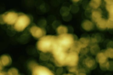 Bulanık altın ışık ve yeşil tonlar ile soyut doğa arka planı, bir bokeh etkisi yaratıyor. Yumuşak, sıcak bir parıltıyla rüya gibi ve rahatlatıcı bir sahne..