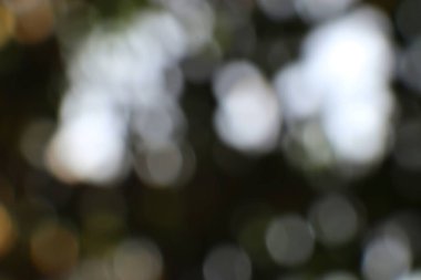 Bulanık ışıklar ve koyu tonlarla soyut bir arkaplan. Işık noktaları ve bokeh ile odaklanmış görüntü. Tasarımın için yumuşak ve zarif bir fotoğraf..