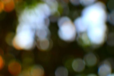 Yeşil arkaplandaki Bokeh ışıklarının soyut görüntüsü. Bu görüntü, arka plan ve sanatsal projeler için mükemmel yumuşak, bulanık bir etki yaratıyor. Bokeh daireleri derinlik ve tarz ekler.