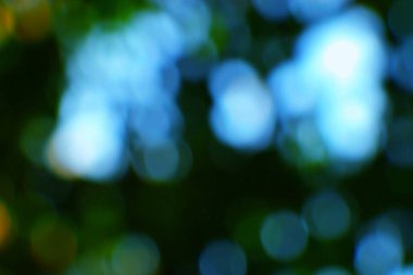 Mavi ve yeşil bulanık ışıklarla soyut bokeh arkaplan. Rüya gibi ve yumuşak efektler için odaksız ve canlı ışık noktaları. Arkaplan, doku ya da sanatsal tasarımlar için mükemmel..