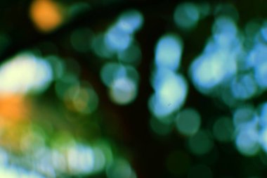 Mavi ve yeşil tonlarında odak ışıkları olmayan rüya gibi arka plan eşsiz ve sanatsal arkaplan için mükemmel.. 