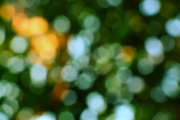 Görüntü büyüleyici bir ışık ve gölge gösterisi sergiliyor, yumuşak, bulanık daireler ruhani ve rüya gibi bir sahne yaratıyor. Renkler neşeli bir dansta birleşiyor, doğal güzellik ve sükunet hissi uyandırıyor..