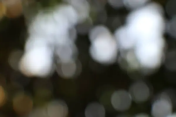 Bulanık ışıklar ve koyu tonlarla soyut bir arkaplan. Işık noktaları ve bokeh ile odaklanmış görüntü. Tasarımın için yumuşak ve zarif bir fotoğraf..