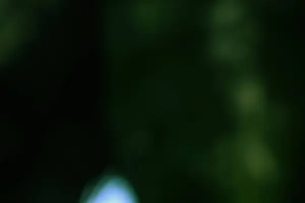 Soyut, bulanık bir arka plan koyu ve gizemli yeşil renkler sergiliyor. Bokeh efektleri yumuşak, rüya gibi bir hava katar, barışçıl ve meditasyon yapan bir atmosfer yaratır..