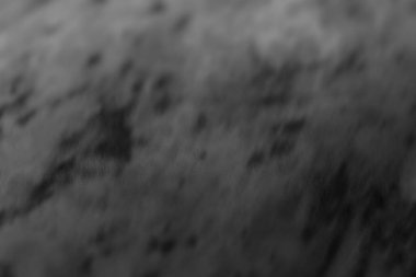 Hafif bulanık dokulu bir yüzeye sahip ince gri tonlu bir arkaplan. Görüntü çeşitli tasarımlar için çok yönlü bir zemin sunuyor. Bu da gösterişsiz bir zarafet ve sükunet hissi uyandırıyor..