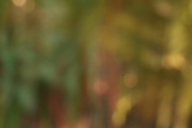 Soyut bulanık sonbahar sahnesi, yaratıcı projeler için ideal, zengin yeşil, sarı ve sütun renkleriyle sonbahar duygularını çağrıştıran, rüya gibi bir zemin sağlar.