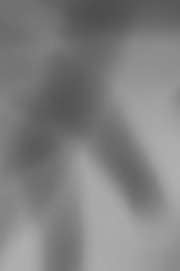 Yumuşak, bulanık siyah ve beyaz bir arkaplan ve pürüzsüz bir doku modern ve zarif bir zemin oluşturur.