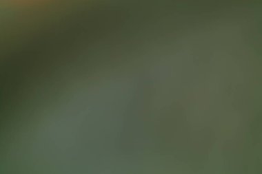 Bu resim, çeşitli tasarım amaçlarına uygun yumuşak ve soyut bir arkaplan oluşturarak, yeşil tonların bulanık bir gradyanı içerir..