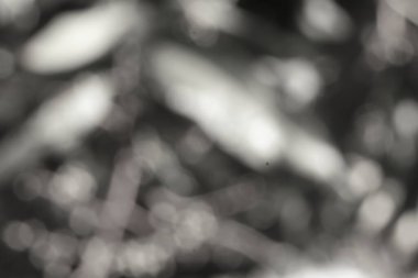 Yumuşak, tek renkli soyut, gösterişli, sakin, bulanık şekiller, ruhani ve barışçıl bir atmosfer yaratıyor. Minimalist ya da sakin bir aksan eklemek için mükemmel..