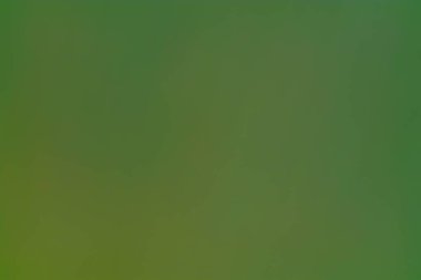 Yeşil renklerin sakin bir gradyanı, doğa ve dinginliği çağıran arkaplan veya tasarım unsurları için idealdir..