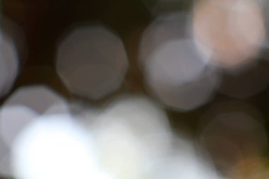 Bulanık bir görüntü, hafif ışık efektleriyle yumuşak ve sihirli bir hissi uyandırır. Rüya gibi bir sahne yaratır.