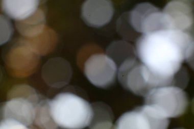 Sıcak ve serin tonlu küreler içeren bulanık ve puslu bir arka plan, bir ışık yaratıyor, rüya gibi estetik..