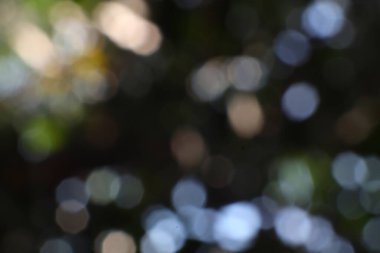 Karanlık bir arka planda yumuşak küreleri olan rüya gibi bir bokeh. Aydınlığı ve gölgeyi harmanlayan ruhani bir soyut.