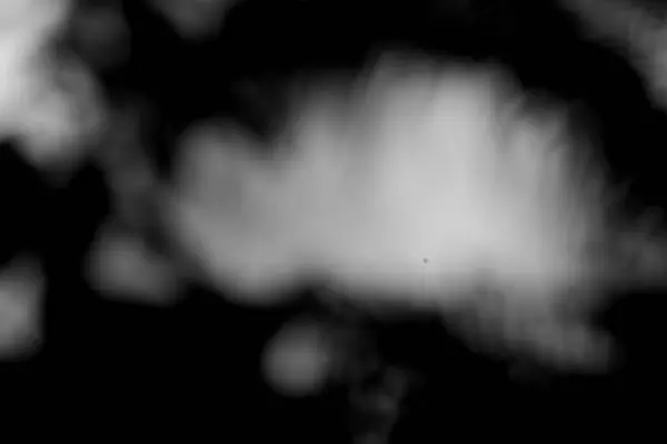 Soyut, yüksek kontrastlı tek renkli kompozisyon yumuşak, bulanık şekilli rüya gibi ve minimalist bir estetik yaratıyor. Arkaplan veya doku için ideal.