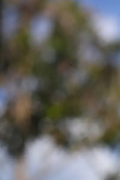 Yeşil ve kahverengi tonları olan bulanık ve yumuşak bir bokeh görüntüsü doğal bir manzarayı ve gökyüzünü işaret ediyor.