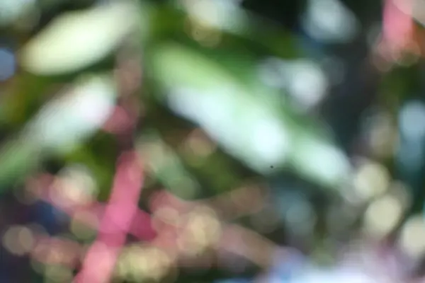 Yumuşak pastel tonlarda çiçek unsurları olan bulanık soyut arkaplan