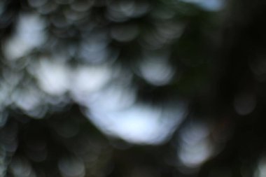 Yumuşak, bulanık bir görüntü ruhani ve rüya gibi bir etki yaratır. Tasarımlara sakin ve sanatsal bir dokunuş eklemek için mükemmeldir..