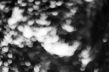 Bulanık, soyut bir arka planda, daireler ve yumuşak noktalarla tek renkli bokeh ışıkları. Kaplamalar ve dekoratif tasarımlar için harikadır..