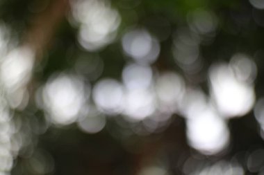 Bulanık ışık ve koyu tonlar ile soyut bokeh arkaplan. Yumuşak, rüya gibi, ve ışıldayan dairelerle ruhani bir etki. Örtüler, duvar kağıtları ve şenlikli tasarımlar için mükemmel..