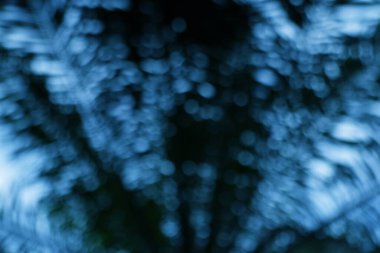 Bulanık ağaçların yer aldığı soyut mavi bokeh arka plan, rüya gibi ve sakin bir atmosfer yaratıyor. Arkaplan, sanat projeleri ya da sihirli bir dokunuş için mükemmel.