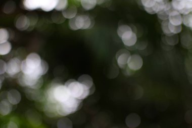 Bulanık bokeh etkisi, ruhani bir hava yaratıyor. Arka plan için mükemmel ya da rüya gibi bir atmosfer eklemek için..