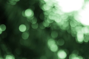 Bulanık yeşil tonlar soyut ve sakin bir atmosfer yaratarak ruhani güzelliği ve sakinliği çağrıştırıyor..