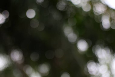 Ruhani bir bokeh kompozisyonu, sakin bir atmosfer yaratıyor, arka planlar için ideal..