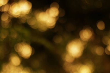 Yumuşak yuvarlak röfleli ılık altın bokeh sessiz, karanlık bir arkaplanda büyülü ve neşeli bir his yaratır.