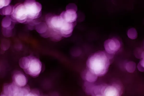 Derin morun gölgelerini içeren canlı, bulanık bir görüntü. Bokeh ışıkları rüya gibi, ruhani bir etki yaratır..