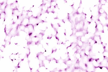 Rüya gibi bir ametist ve beyaz doku, büyülü ve ruhani bir nitelik uyandırıyor, arka plan ve yaratıcı projeler için uygun..