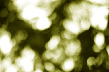 Zeytin yeşili ve beyaz bokeh ışıklarının olduğu yumuşak, soyut bir arka plan rüya gibi, ruhani ve sanatsal bir etki yaratır. Sihirli bir dokunuş eklemek için ideal.