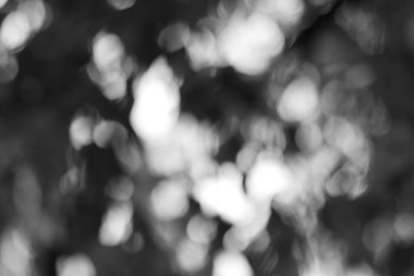 Tek renkli arkaplan rüya gibi bir bokeh etkisi yaratıyor, soyut ve bulanık bir görsel yaratıyor yumuşak ışık ve gölgeler ile.