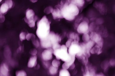 Soyut bir arkaplan erik ve mor tonlu yumuşak bokeh içerir, dingin ve ruhani bir his yaratır..